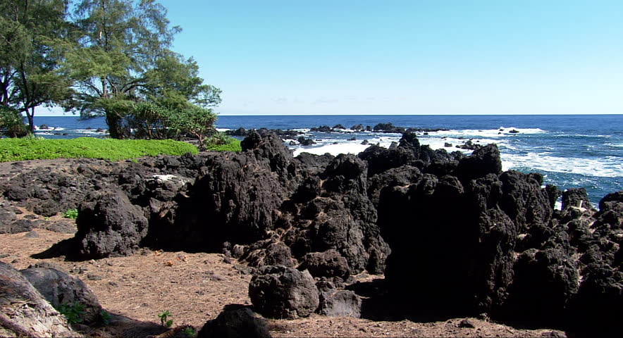 Lush green plants and trees dot a rocky shore in Hawaii