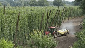 hop-garden chemical spraying 