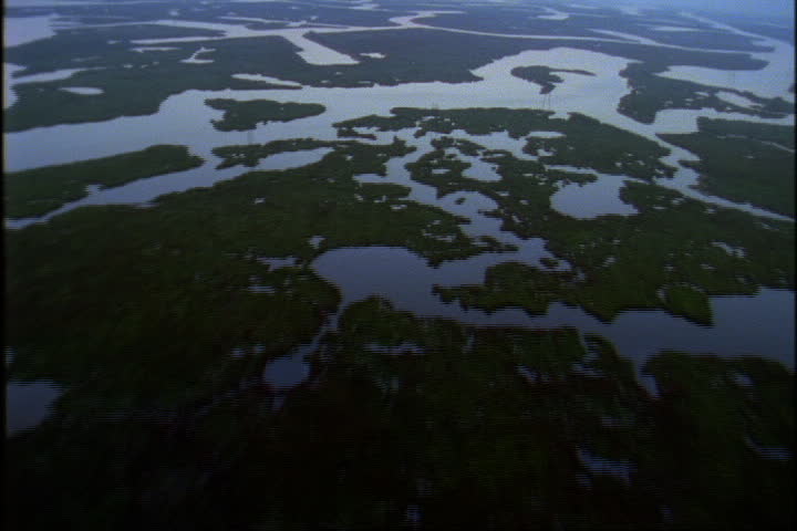 Aerial over marshes, lowlands and lower Mississippi River.