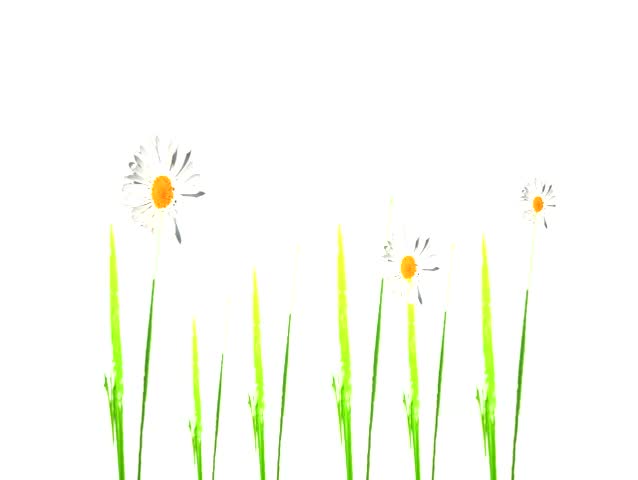 grass