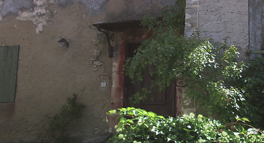 Plants wave in the breeze near an old doorway in Marseilles, France