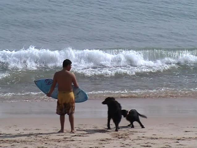 Surfer and dogs in the beach