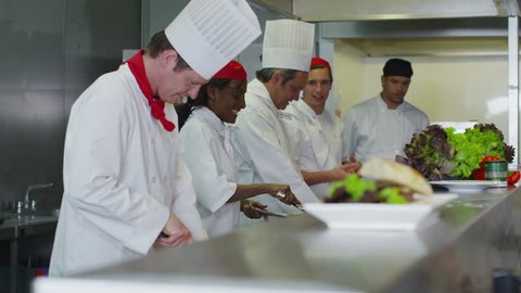 Mixed ethnicity team of professional chefs preparing and cooking food in a commercial kitchen.