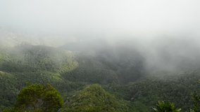 video with clouds over beautiful forest in Tenerife, Canary Islands, Spain