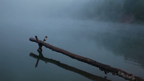 Foggy morning on the forest lake