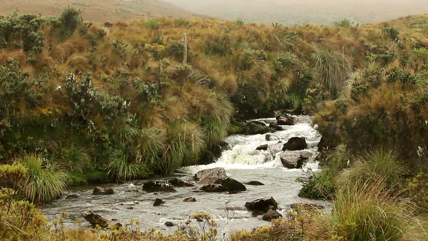 High altitude stream in Llanganates Nation Park, Ecuador