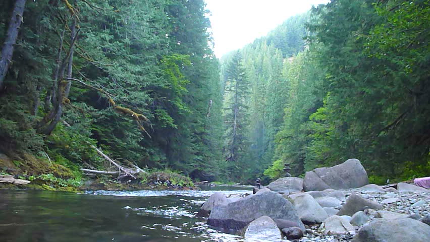 Lush wilderness river in Oregon scenic.