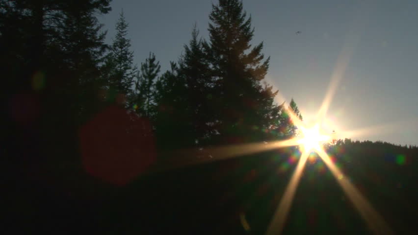 Camera panning shot of sun setting behind trees in Idaho wilderness.