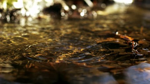 Water drop making ripple in creek shooting with high speed camera, phantom flex.
