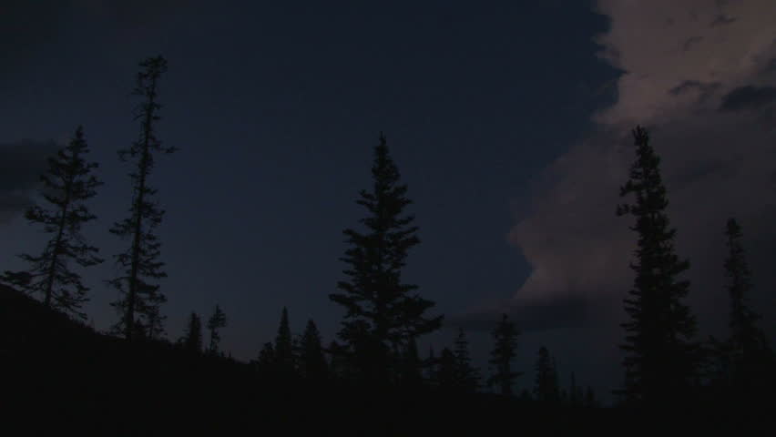Lightning strikes from thunderhead cloud in Montana forest at night.