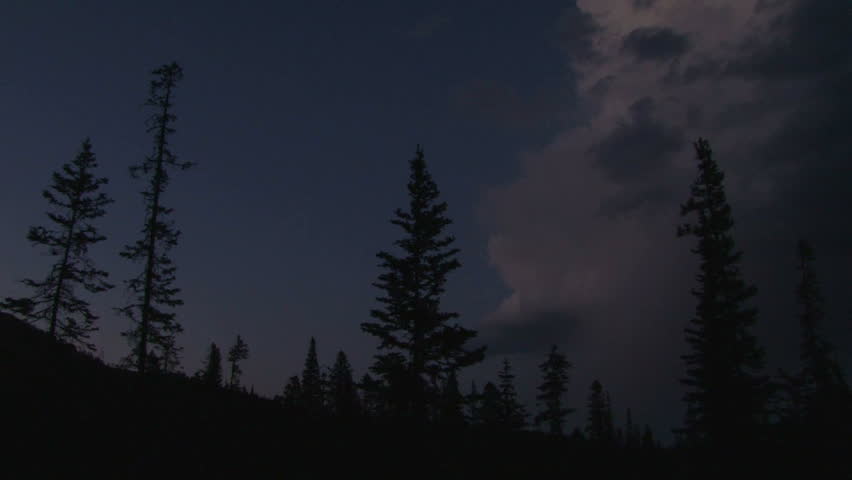 Lightning strikes from thunderhead cloud in Montana forest at night.