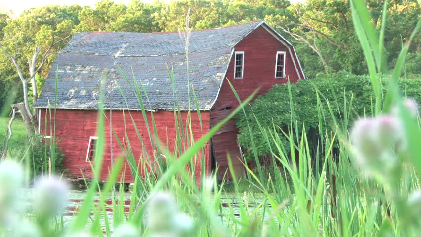 Red barn sits abandoned in forest and marsh land.