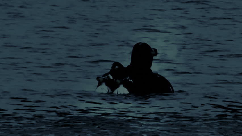 Navy Seals Diver in the night, moonlight reflection on the water