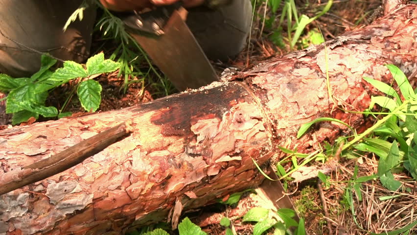 Cutting timber with a hand saw
