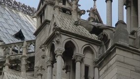 Pigeons of Notre Dame I