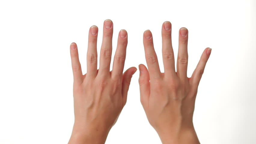 Hands Typing for on white background