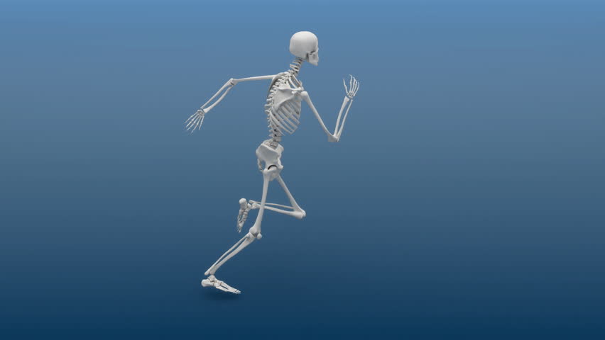 Slow motion animation of a running human skeleton. HD 1080p loop. 