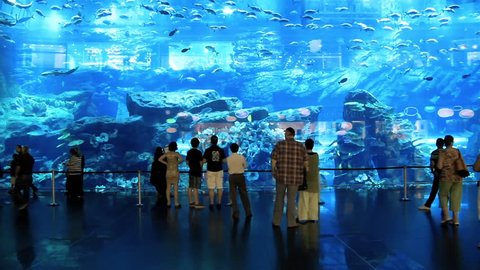 DUBAI, UAE, OCTOBER 16, 2011: Oceanarium inside Dubai Mall. The Dubai Mall is the world's largest shopping mall based on total area and fifth largest by gross leasable area, UAE, October 16, 2011
