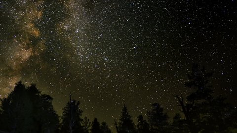 Perseid Meteor Shower Bristlecone Pine 10 Milky Way Time Lapse