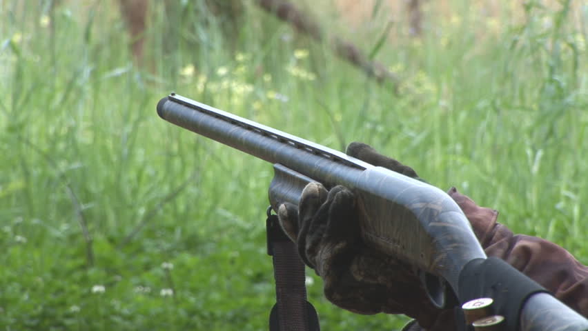 Shotgun hunting in spring for wild turkey