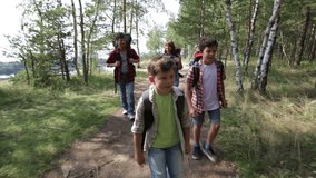 Dynamic video of hiking family following the path in the woods