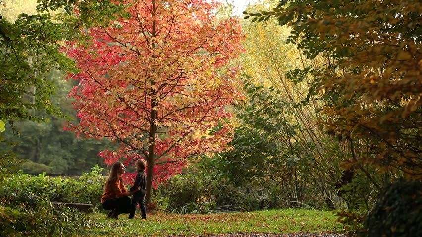 mum and son hugging in a park, autumn 