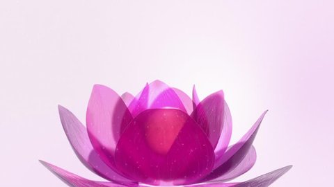 Beautiful Lotus Blossom. Lotus blossom rotating in shiny scenery.