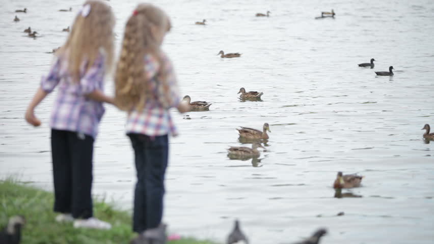 Two little girls at lake feeding ducks bread