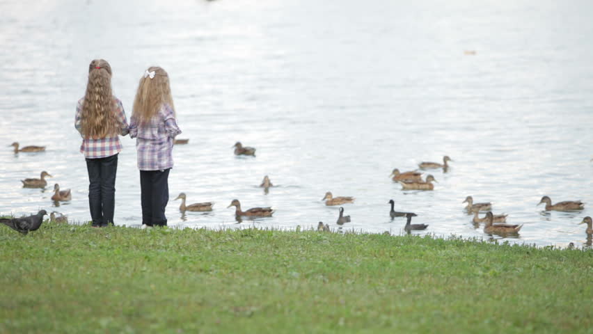 Two little girls feeding ducks at park