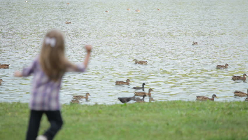 Two little girls at park running to water and feeding ducks bread