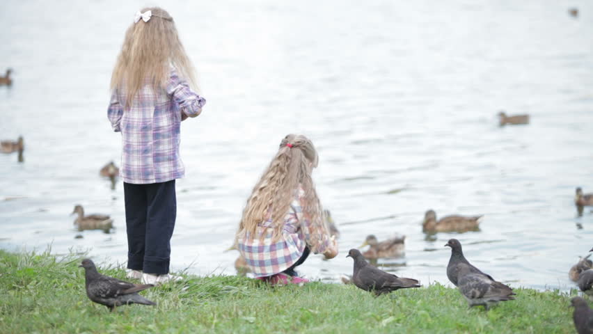 Two little girls at park feeding ducks bread