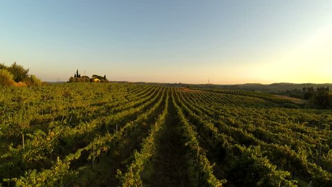 flying over a vineyard in Chianti region at sunset