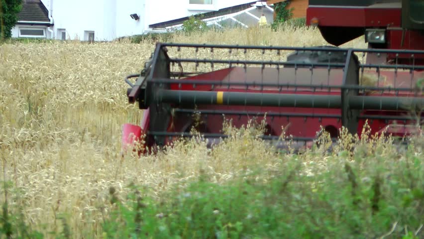Combine Harvester gathering wheat