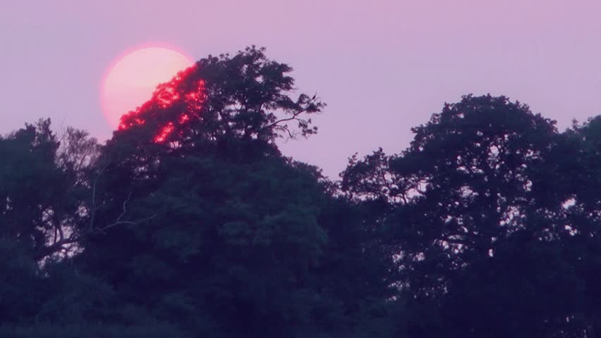 Tropical Sunset behind trees