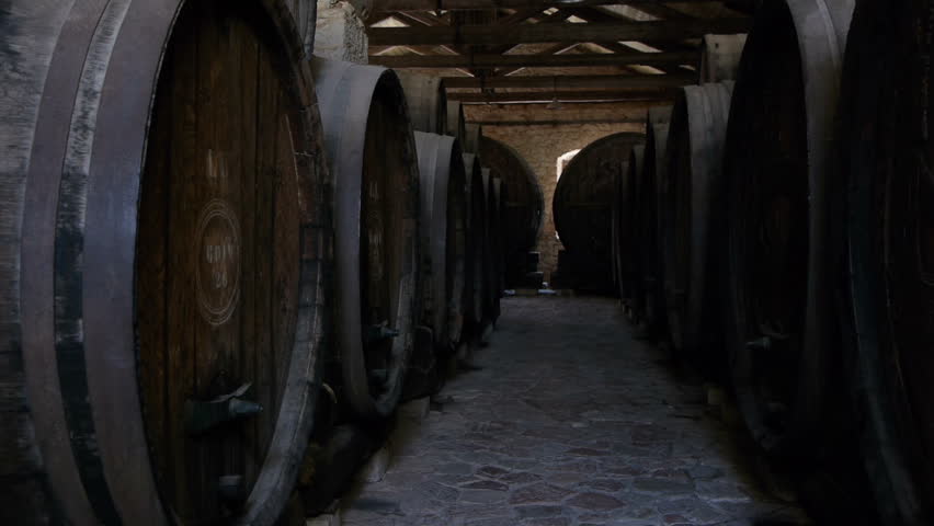 girl visiting a wine cellar walking alongside old oak whine barrels