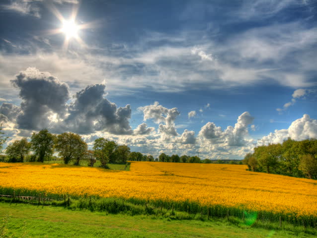 Clouds and blue sky over yellow flowers fields, HD time lapse clip, high dynamic