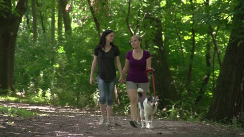 Happy female couple walking their dog at the park Vídeo Stock