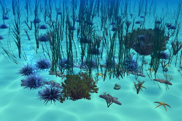 Underwater vegetation animation