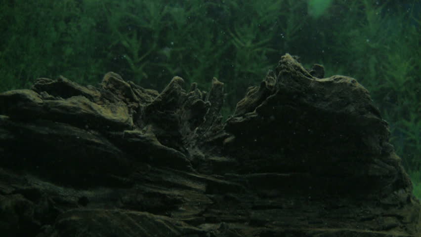 Underwater dust particles