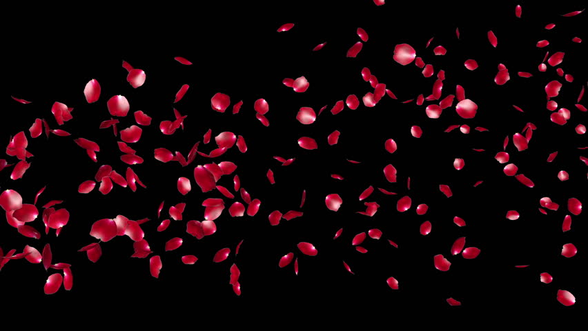 Rose Petals Flying Particles, Luma Matte