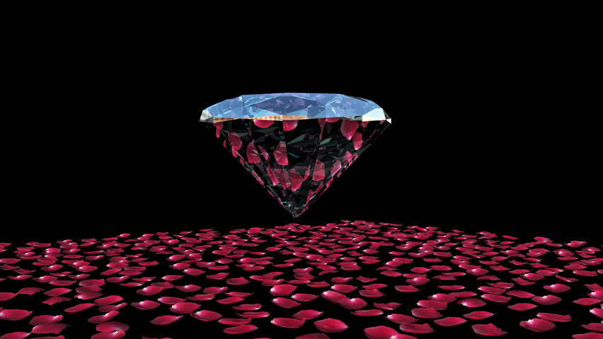 Diamond attracting rose petals, against black