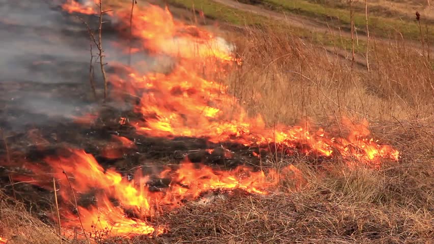 arson Stock Footage Video (100% Royalty-free) 4569134 | Shutterstock