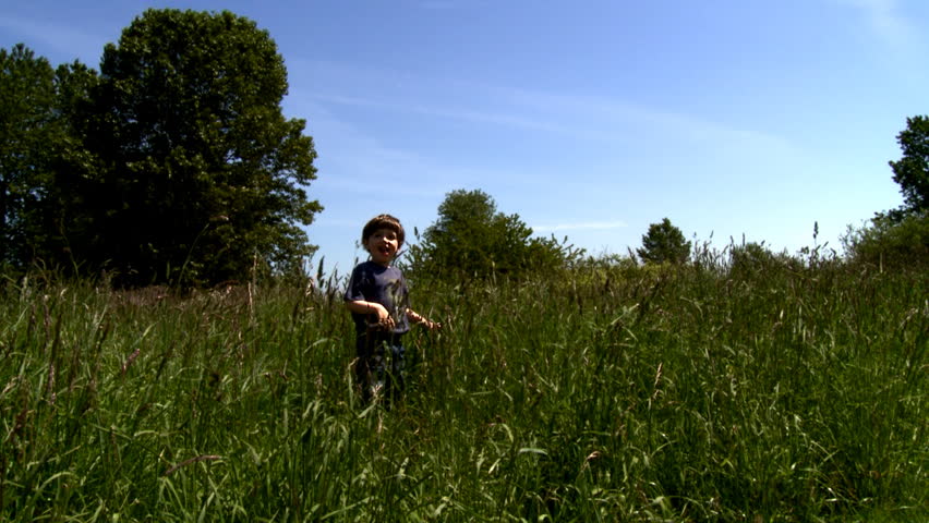Little boy walking in the field