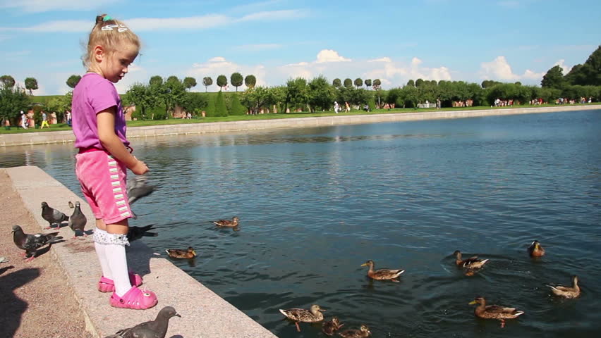 little girl feeding ducks in park