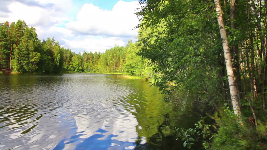 summer landscape with lake in forest