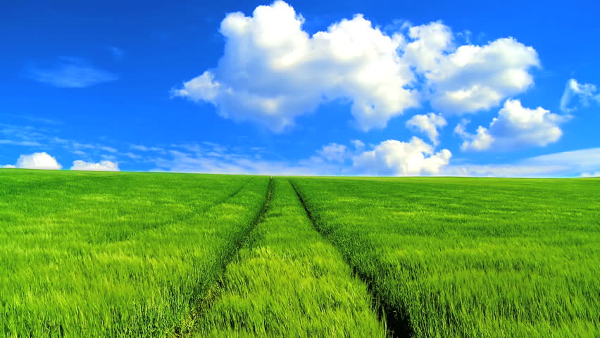 Поле будущего. Цель зеленое поле. Blue Sky Green environment. Clean fields.