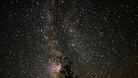 Astrophotography Time Lapse of Milky Way Galaxy over Alpine Forest -Zoom Out