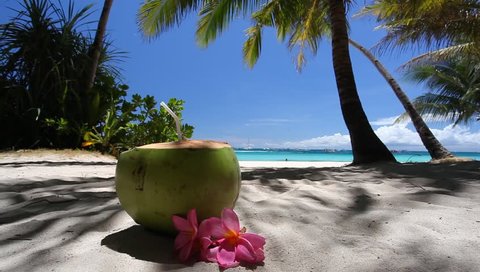 Fresh coconut on caribbean beach, footage