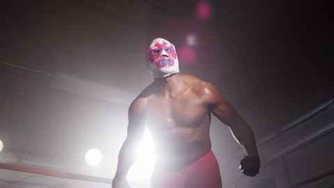 Masked wrestler in boxing ring