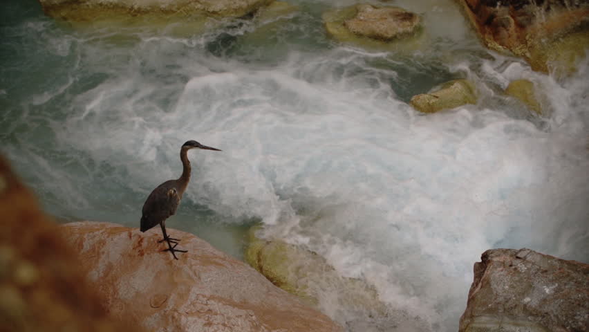 Little Colorado River flowing down stream into the Grand Canyon with pan right. 